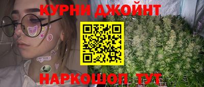 прущие грибы Обнинск