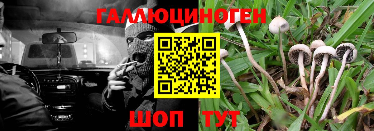 Псилоцибиновые грибы GOLDEN TEACHER Спасск-Дальний